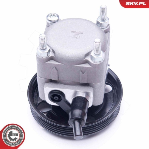 ESEN SKV Hydraulikpumpe, Lenkung 10SKV257