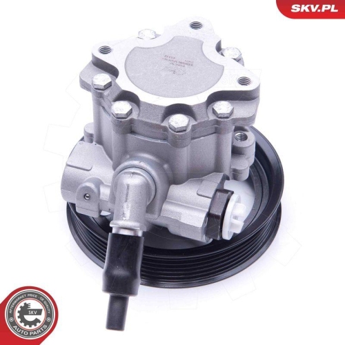 ESEN SKV Hydraulikpumpe, Lenkung 10SKV266