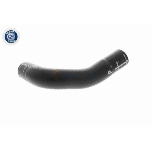 VAICO Kühlerschlauch Q+, Erstausrüsterqualität V10-4860