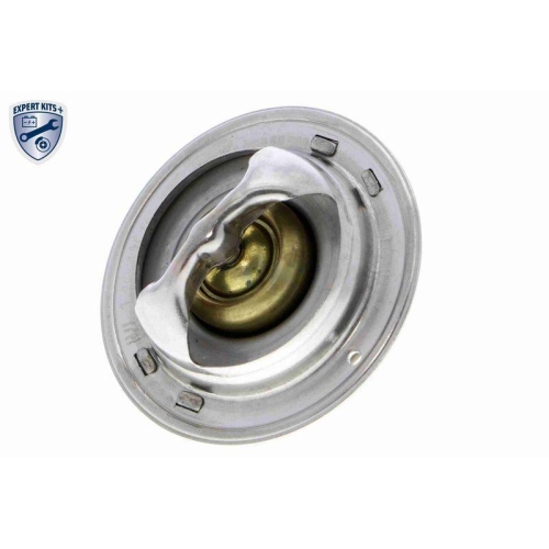 ACKOJA Thermostat, K&uuml;hlmittel EXPERT KITS + A38-99-0015