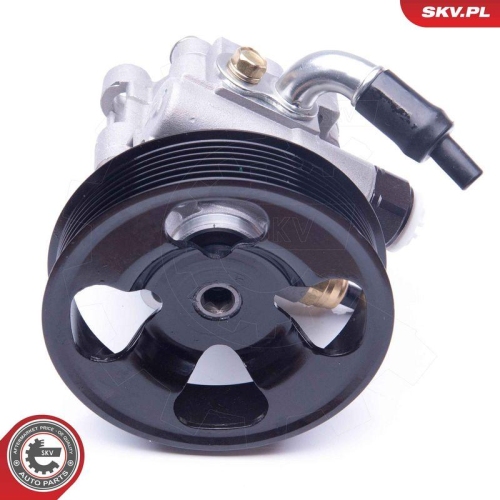 ESEN SKV Hydraulikpumpe, Lenkung 10SKV285