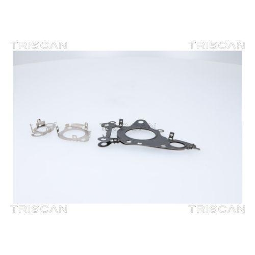 TRISCAN AGR-Ventil 8813 23041