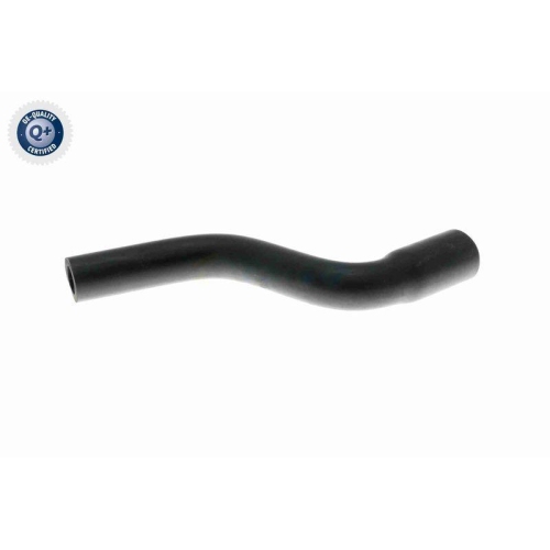 VAICO Schlauch, Zylinderkopfhaubenentl&uuml;ftung Q+, Erstausr&uuml;sterqualit&auml;t V40-1177