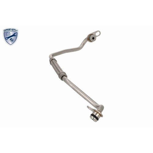 VAICO Ölleitung, Lader EXPERT KITS +