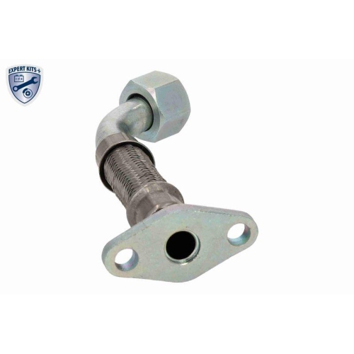 VAICO Ölleitung, Lader EXPERT KITS +