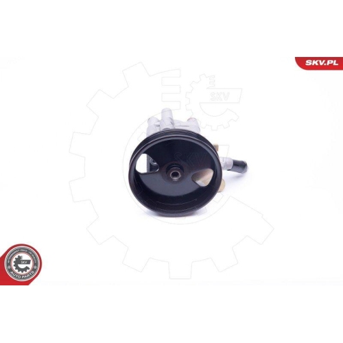 ESEN SKV Hydraulikpumpe, Lenkung 10SKV276