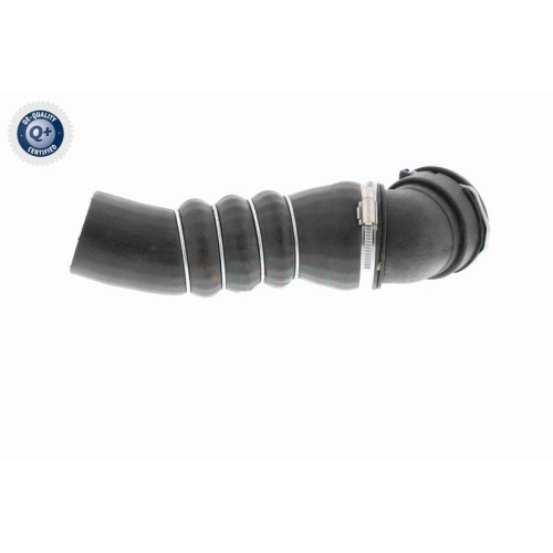VAICO Ladeluftschlauch Q+, Erstausr&uuml;sterqualit&auml;t V20-1626