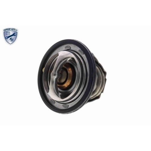 ACKOJA Thermostat, K&uuml;hlmittel EXPERT KITS + A63-99-0004