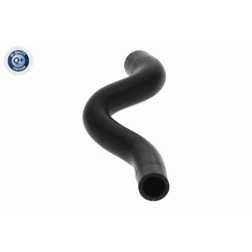 VAICO K&uuml;hlerschlauch Q+, Erstausr&uuml;sterqualit&auml;t V22-0741