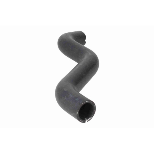 VAICO K&uuml;hlerschlauch Original VAICO Qualit&auml;t V24-1591