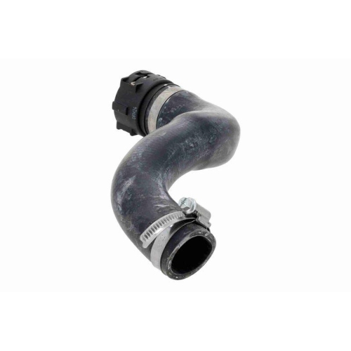 VAICO K&uuml;hlerschlauch Green Mobility Parts V20-2373
