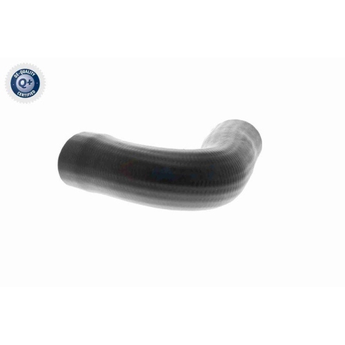 VAICO Ladeluftschlauch Q+, Erstausrüsterqualität V22-1100