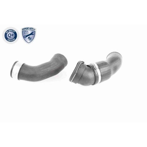 VAICO Ladeluftschlauch EXPERT KITS + V20-2970