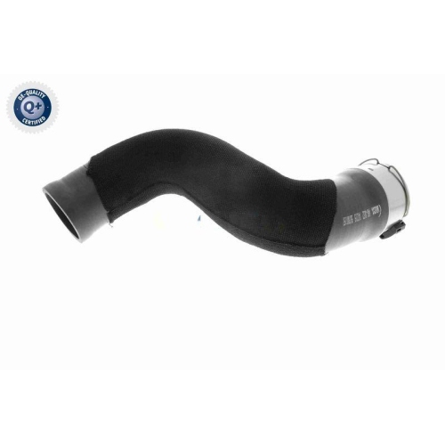 VAICO Ladeluftschlauch Q+, Erstausrüsterqualität