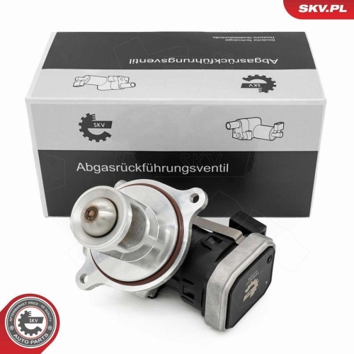 ESEN SKV AGR-Ventil 14SKV272