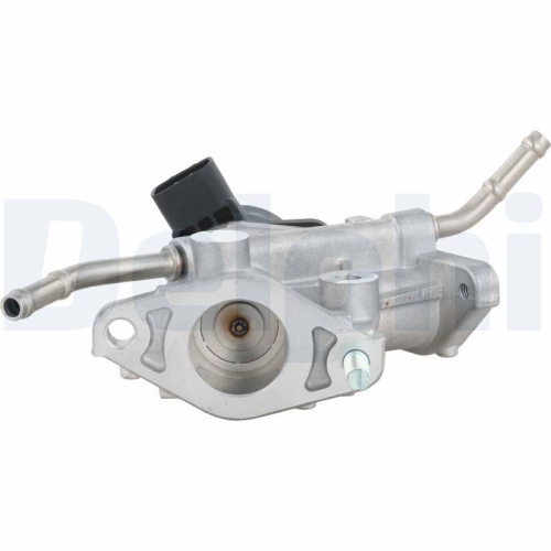 DELPHI AGR-Ventil EG10738-12B1
