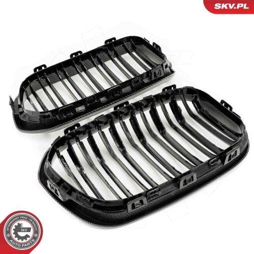 ESEN SKV Kühlergitter 66SKV318