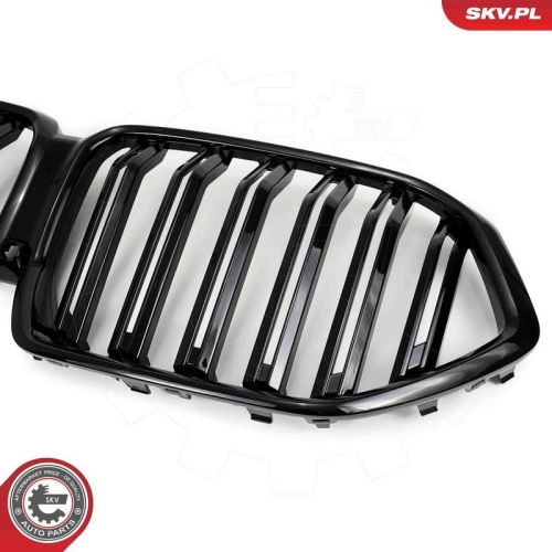 ESEN SKV Kühlergitter 66SKV309