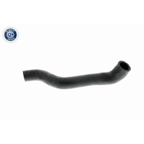 VAICO K&uuml;hlerschlauch Q+, Erstausr&uuml;sterqualit&auml;t V20-1238