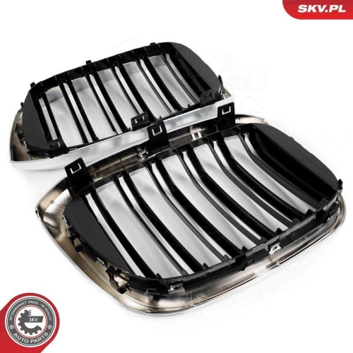 ESEN SKV Kühlergitter 66SKV263