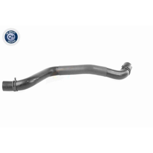 VAICO K&uuml;hlerschlauch Q+, Erstausr&uuml;sterqualit&auml;t V95-0397