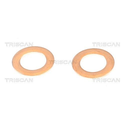 TRISCAN Bremsschlauch 8150 24159