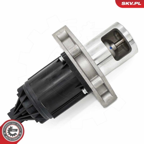 ESEN SKV AGR-Ventil 14SKV284