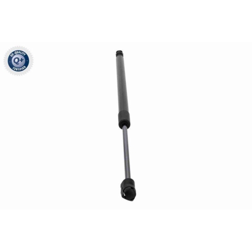 ACKOJA Gasfeder, Koffer-/Laderaum Q+ Erstausr&uuml;sterqualit&auml;t