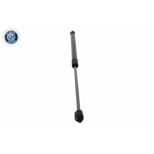 ACKOJA Gasfeder, Koffer-/Laderaum Q+ Erstausr&uuml;sterqualit&auml;t