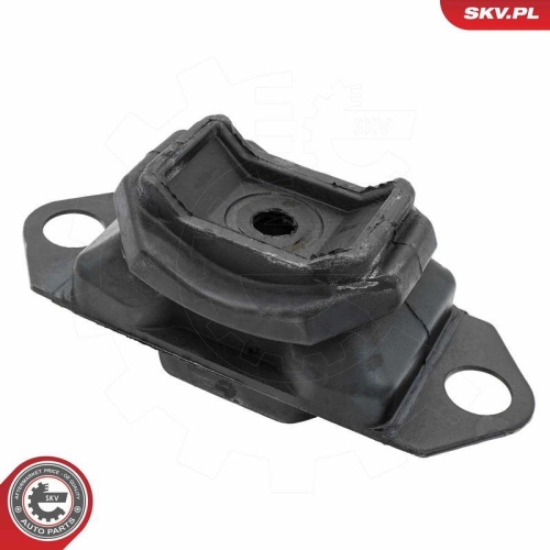ESEN SKV Lagerung, Motor 75SKV065
