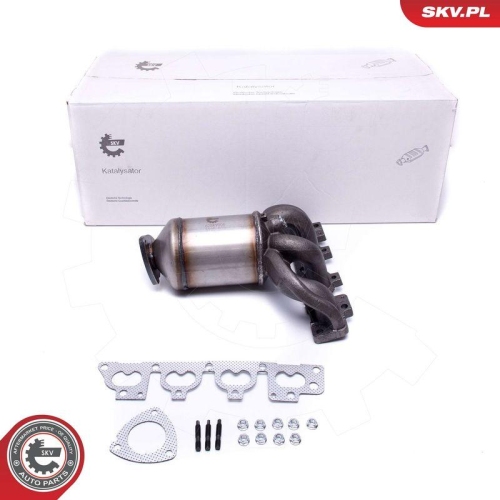 ESEN SKV Katalysator 62SKV006