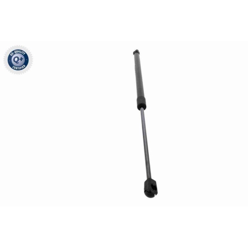 ACKOJA Gasfeder, Koffer-/Laderaum Q+ Erstausr&uuml;sterqualit&auml;t