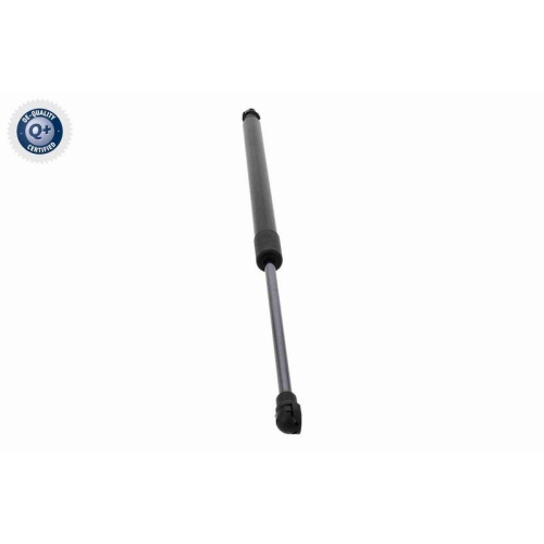 ACKOJA Gasfeder, Koffer-/Laderaum Q+ Erstausrüsterqualität