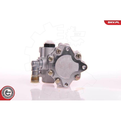 ESEN SKV Hydraulikpumpe, Lenkung