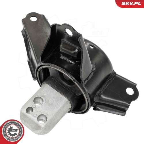 ESEN SKV Lagerung, Motor 75SKV015