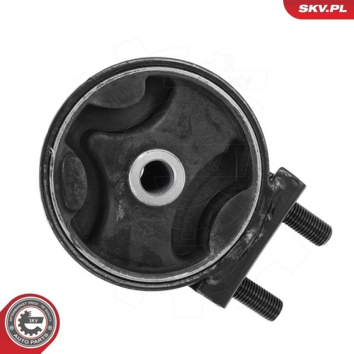 ESEN SKV Lagerung, Motor 75SKV021