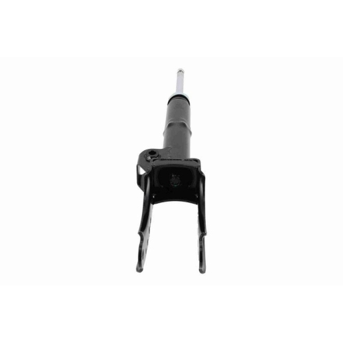 VAICO Sto&szlig;d&auml;mpfer Green Mobility Parts V10-6836