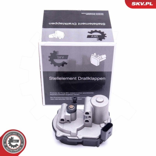 ESEN SKV Stellelement, Drallklappen (Saugrohr) 96SKV048