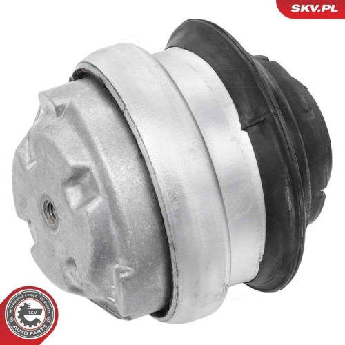 ESEN SKV Lagerung, Motor 75SKV006