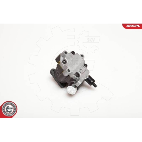 ESEN SKV Hydraulikpumpe, Lenkung