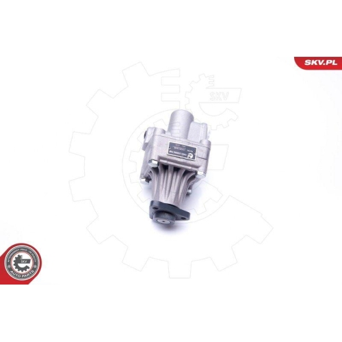 ESEN SKV Hydraulikpumpe, Lenkung