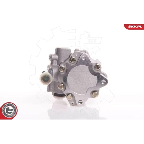 ESEN SKV Hydraulikpumpe, Lenkung