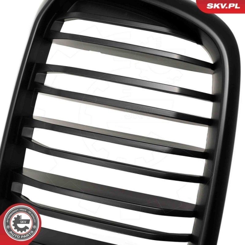 ESEN SKV Kühlergitter