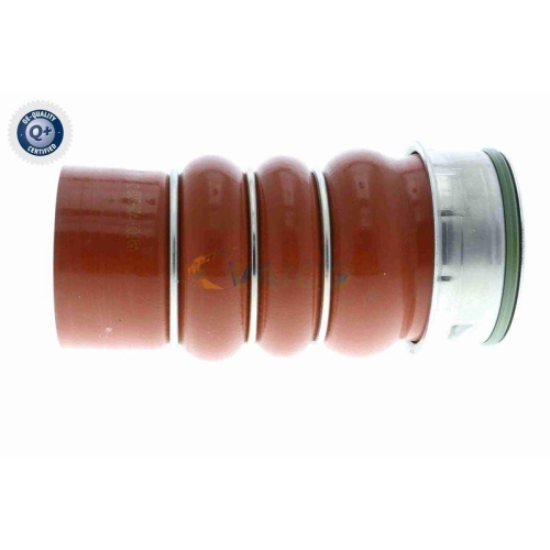 VAICO Ladeluftschlauch Q+, Erstausrüsterqualität