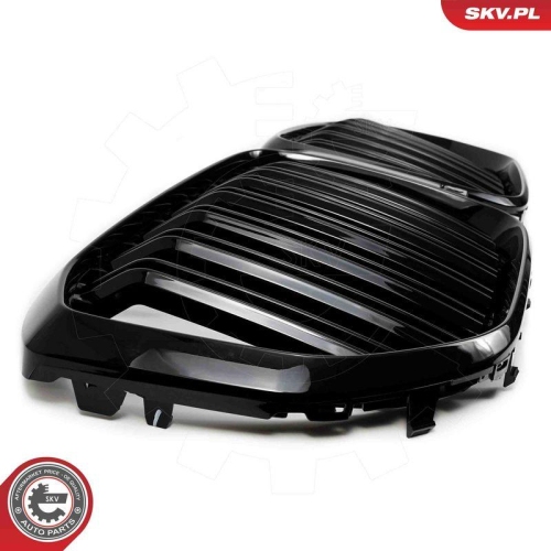 ESEN SKV Kühlergitter