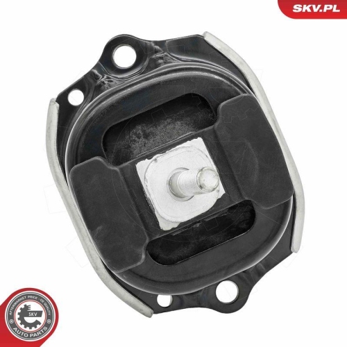 ESEN SKV Lagerung, Motor 75SKV255