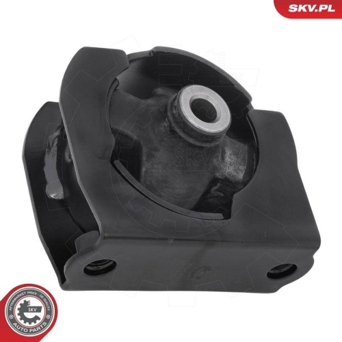 ESEN SKV Lagerung, Motor 75SKV262