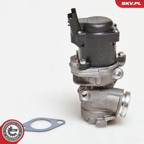ESEN SKV AGR-Ventil 14SKV028