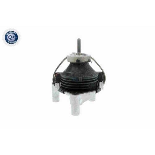 VAICO Lagerung, Motor Q+, Erstausr&uuml;sterqualit&auml;t V50-0031