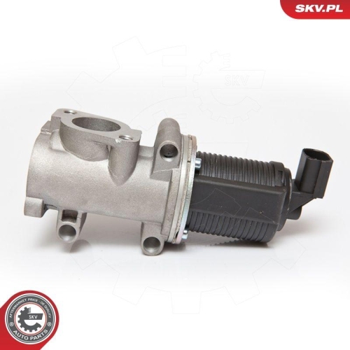 ESEN SKV AGR-Ventil 14SKV055